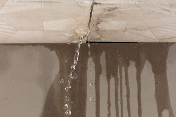 Professional Structural Drying technician working in Emmett, MI